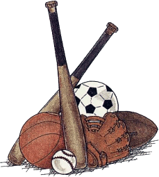 sports_106.gif (28142 bytes)